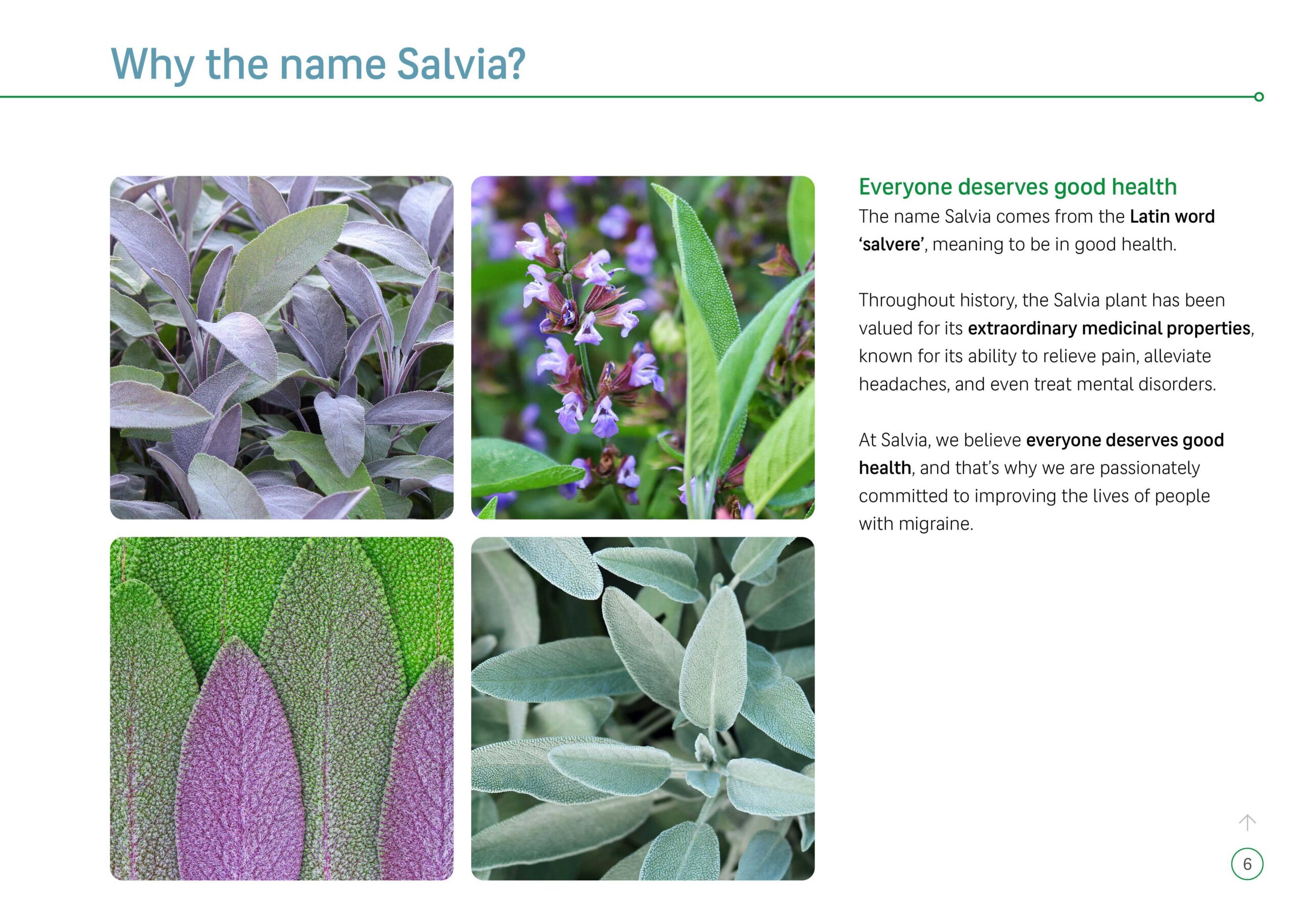 Salvia-oranje-vormgevers-brand-design-03